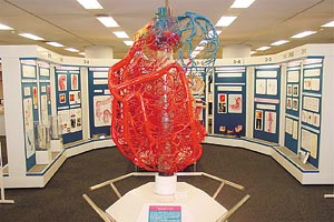 現代医学教育博物館