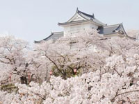鶴山公園