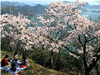 筆影山