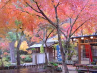 佛通寺