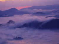 海霧