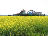笠岡湾干拓地